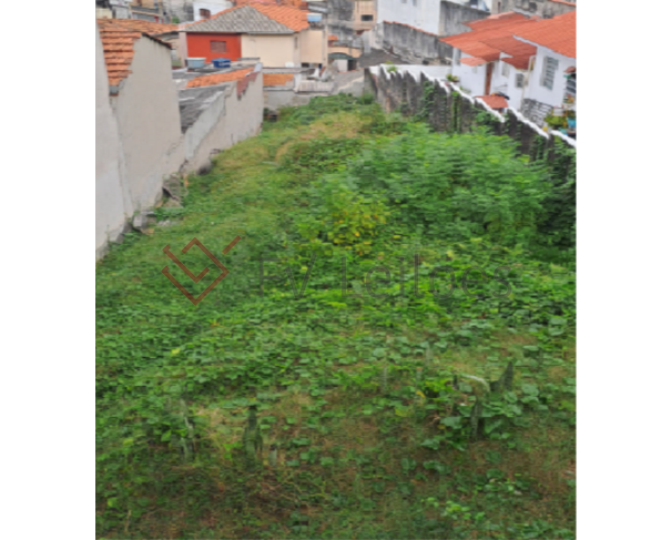 Foto de LOTE 54 - METADE IDEAL SOB CASA E SEU RESPECTIVO TERRENO - VILA MONUMENTO / SÃO PAULO 