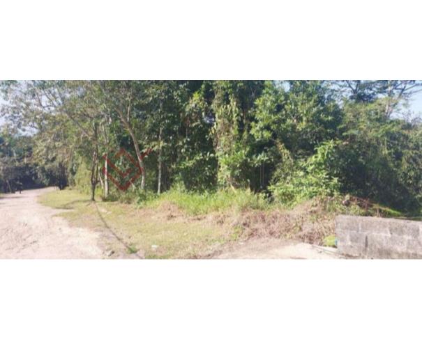 Foto de LOTE 72 - TERRENO - LOTEAMENTO GUARATUBA - BERTIOGA / SP 